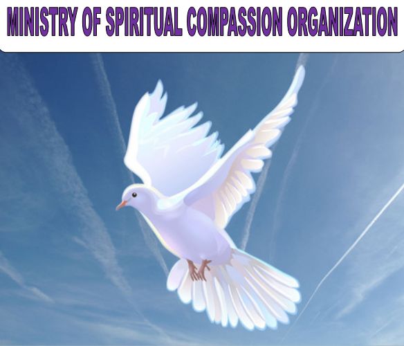 Ministry of Spiritual Compassion Organization