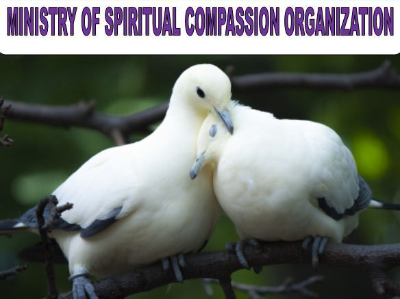 Ministry of Spiritual Compassion Organization