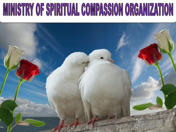 Ministry of Spiritual Compassion Organization